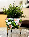 Modern Apple Table top Meena Pot Planter