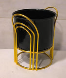Black Metal Planter With golden Stand