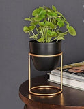 Black Planter With Stand