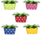 Multicolored Railing Planter