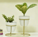 White Golden 2 Planter Set With Stand